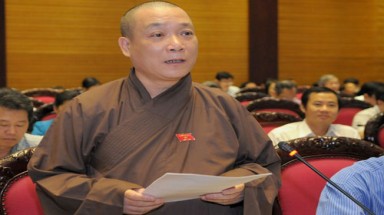 Đại biểu Quốc hội: "Nên cấm tuyệt đối việc chặt cây"