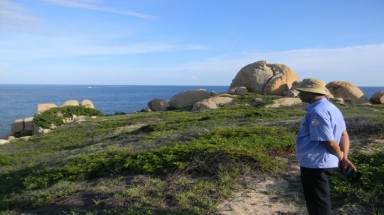 "Giết" dần Khu Bảo tồn Hòn Cau!?