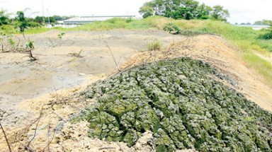  Ban Tuyên giáo Tỉnh ủy Đồng Nai ra “thông điệp” vụ Sonadezi