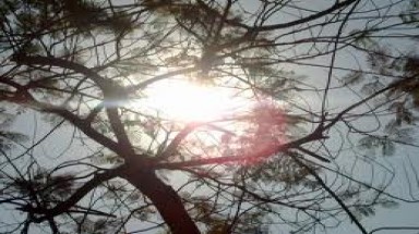 Nhiệt độ giảm nhẹ nhưng vẫn oi bức