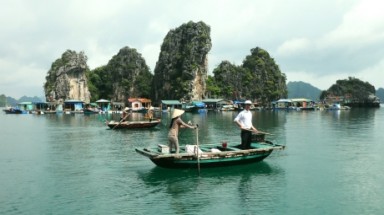  Thu gom và xử lý rác thải khu vực Làng chài Cửa Vạn