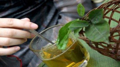 Chè xanh có khả năng chống nhiễm xạ?