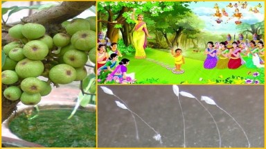 Sự thật về loài hoa mang tên Ưu Đàm của nhà Phật