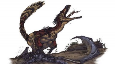 "Chim chính là loài khủng long theropod còn sống"