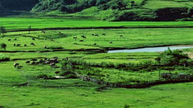 Kon Tum kêu gọi đầu tư 2 sân golf với tổng diện tích gần 174 ha