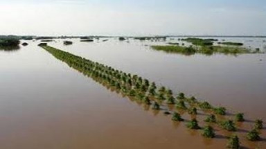 Chủ động phòng, chống lũ lớn trên hệ thống sông Hồng, sông Thái Bình