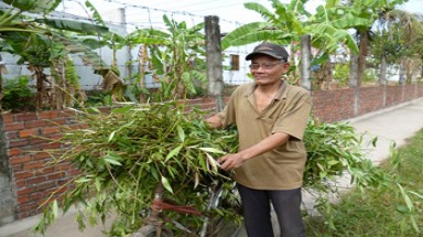 "Không thấy vất vả vì được làm việc thiện"