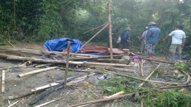  Nghệ An: Đàn voi 5 con về phá mùa màng của dân