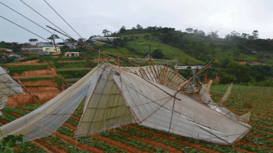 Xuất hiện mưa đá ở Đà Lạt