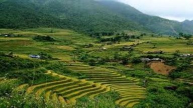  Việt Nam nhận được tài trợ nghiên cứu về môi trường