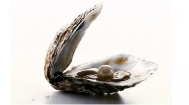 Ngọc trai khổng lồ có niên đại hơn 100 triệu năm