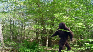  'Khả năng người tuyết sống tại Nga là rất cao'