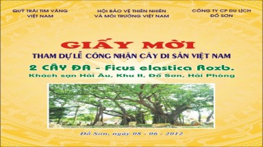  VACNE mời dự Lễ công nhận Cây di sản tại Đồ Sơn, Hải Phòng