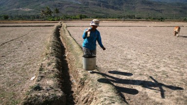 Việt Nam hưởng ứng Ngày thế giới phòng chống sa mạc hóa