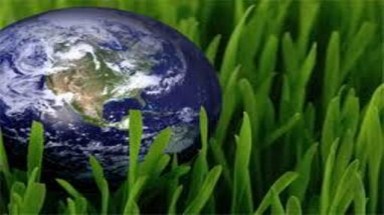  Sử dụng năng lượng tiết kiệm, hiệu quả 