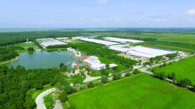 Vinamilk và những bước đi chiến lược trong 30 năm phát triển ngành chăn nuôi bò sữa