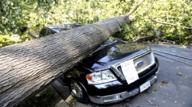  MỸ: Hàng triệu người khốn khổ vì cơn bão khủng khiếp