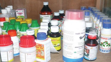  Quản lý sử dụng thuốc bảo vệ thực vật tại Nghệ An
