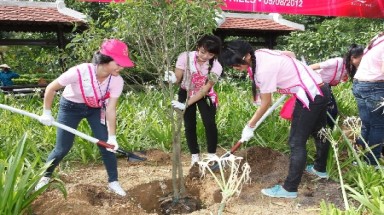  "Đại sứ xanh" trên đỉnh Bà Nà