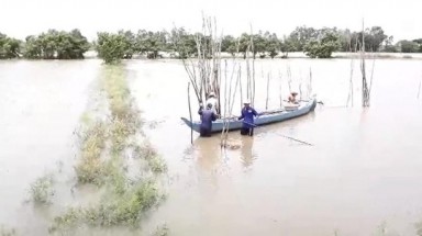 Miền Tây bắt đầu chống chọi với nước lũ từ sự cố vỡ đập ở Lào