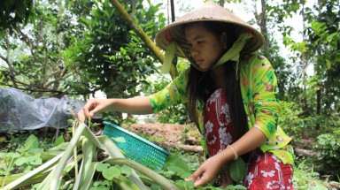 Tự kiếm tiền làm lộ phí đi thi