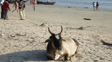 Top 10 bãi biển bẩn nhất thế giới