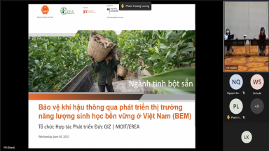  Năng lượng sinh học có tiềm năng để sản xuất điện: Kết quả của Báo cáo nghiên cứu ngành hẹp