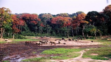 Chiêm ngưỡng 26 di sản thế giới mới