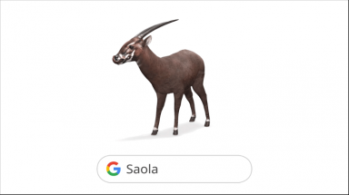 Google phối hợp cùng WWF-Việt Nam khởi động chiến dịch “Giữ Lại Dấu Chân Sao La”