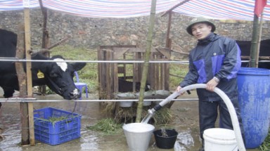  Làm giàu từ Dự án tài chính nông thôn