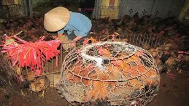 Hà Nội khắc phục ô nhiễm môi trường tại chợ Hà Vĩ