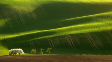  Choáng ngợp trước cảnh đồng cỏ xanh ngút ngàn