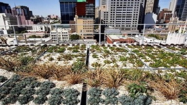  Australia khuyến khích trồng cây trên các mái nhà