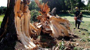 Bão quét nước Mỹ: 12 người chết, 3 triệu người mất điện