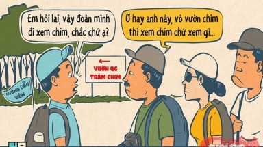 Đi xem chim tại khu bảo tồn... thực phẩm quốc gia
