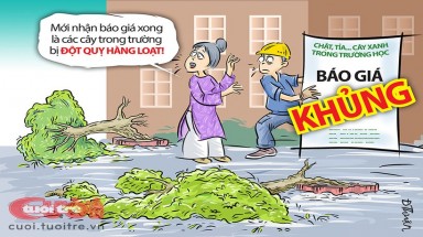 Cây xanh cũng đột quỵ