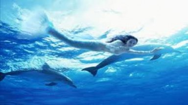  Nàng tiên cá có thực sự tồn tại?