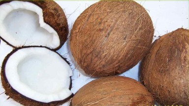 Đầu tư sản xuất sản phẩm mới từ dừa