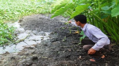Thanh Hóa: Hàng trăm hộ dân khốn khổ vì trại lợn