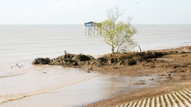 Tiền Giang: Đê biển Gò Công  "gồng mình” chống sóng