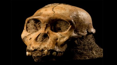  Nhân loại đến từ rừng núi?