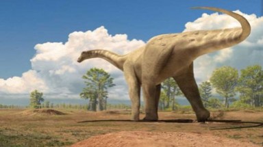  Khủng long thuộc loài máu nóng