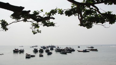Đầu tư 42 tỉ xây dựng khu bảo tồn biển Lý Sơn