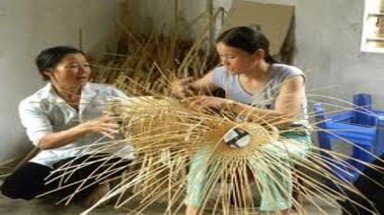 Nan giải vấn đề việc làm cho nông dân bị thu hồi đất nông nghiệp