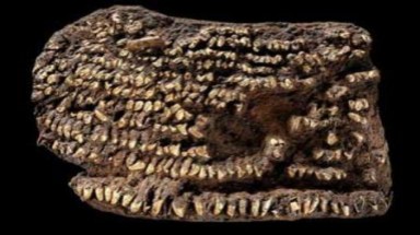 Phong cách thời trang kỳ lạ thời kỳ đồ đá