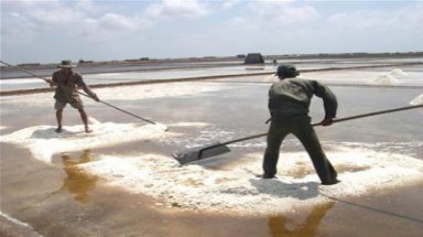 Cần tháo gỡ khó khăn cho diêm dân Trà Vinh