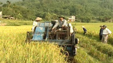 Người đưa tiến bộ kỹ thuật mới về vùng thuần nông
