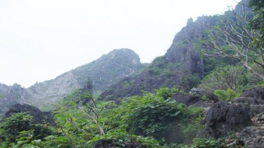 Sư cô giữ núi nuôi khỉ như con