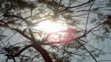 Các tỉnh Bắc Trung Bộ có nơi nắng nóng lên đến 40 độ C