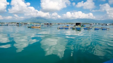 Ninh Thuận: Quy hoạch vùng nuôi thủy sản hợp lý, bảo vệ môi trường biển